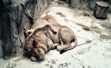 2012-04-07-15-28-19.jpg